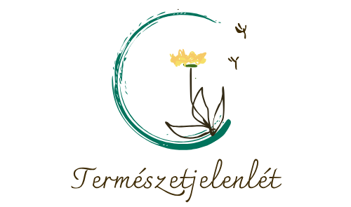 Természetjelenlét – Erdőfürdő séták és jelenlétalapú prevenció