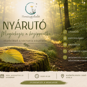 NYÁRUTÓ - Megérkezés a középpontba - erdőfürdő séta